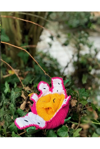 Fruit du dragon