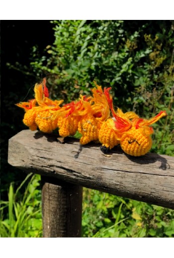 Chenille Noctuelle