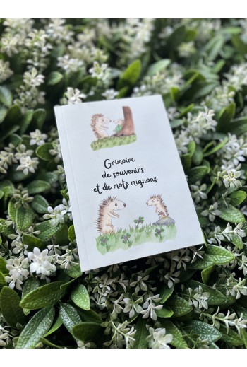 Grimoire de souvenirs et...